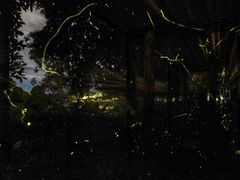 -福建鲤鱼洲酒店