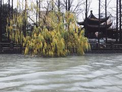 -运河游船(武林门码头)