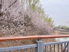 -北京奥林匹克公园