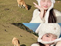 -大姆山草场