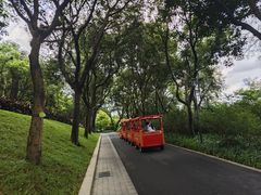 -云溪植物园
