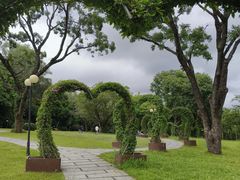 -莲花山公园