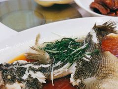 -顺风海鲜港(金玉兰店)