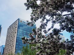 -元大都城垣遗址公园