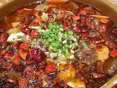-易老妈蹄花.特色川菜(人民公园总店)