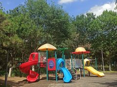 -大兴滨河森林公园