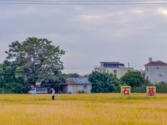 -低涌(地铁站)