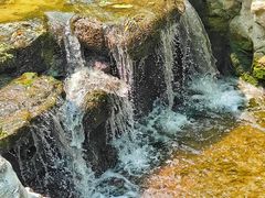 -白水寺森林公园