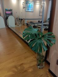 -拉伽瑜伽·普拉提·月付制