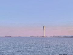 -上海吴淞炮台湾国家湿地公园