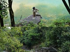 -广州白江湖森林公园