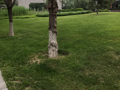 -河北省园博园
