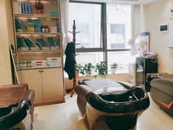 -碧莲盛·不剃发植发