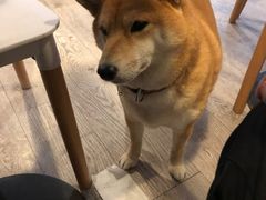 -小时光咖啡馆(北锣鼓巷店)