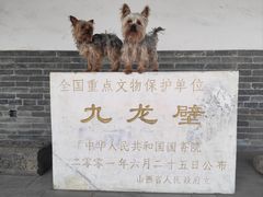 -九龙壁