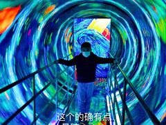 -上海梵高星空艺术馆(南京路旗舰店)