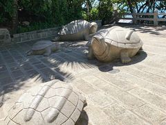 -海南分界洲岛旅游区