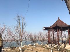 -天津东丽湖风景区