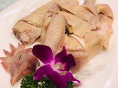 -大树头·花园餐厅(市桥店)