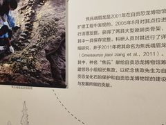 -自贡恐龙博物馆