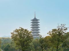 -宜兴龙背山森林公园