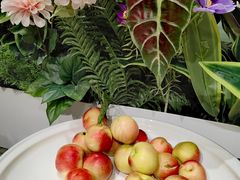 -晶丽香榭自助餐(南京大饭店)