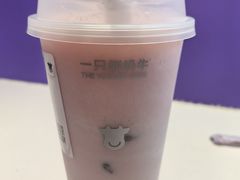 -一只酸奶牛(八一路店)