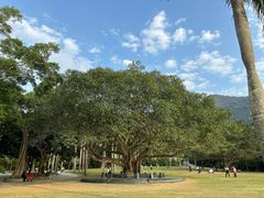 -深圳仙湖植物园