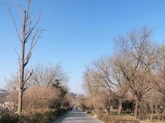 -蓬莱阁景区