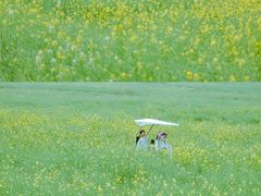 -光明小镇欢乐田园