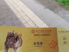 门票-陕西历史博物馆