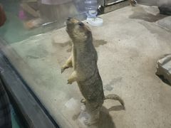 -苏州海洋馆