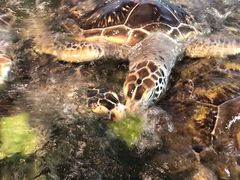 -福州罗源湾海洋世界旅游区