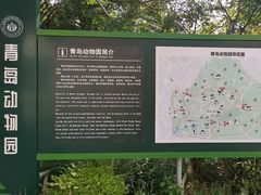 -青岛动物园
