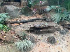 -海南热带野生动植物园