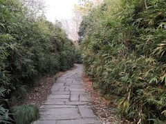 -中国湿地博物馆