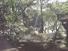 -严子陵钓台(富春江小三峡)