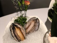 六头鲍鱼-红雀围·海鲜火锅(陆家嘴中心店)
