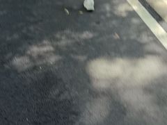 -广东外语外贸大学(白云山校区)