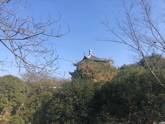 -白马涧龙池景区