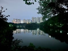 -重庆彩云湖湿地公园
