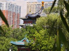 -迎泽公园