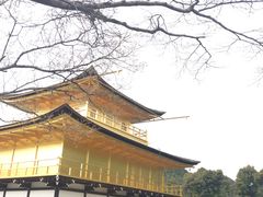 -豆政(金閣寺境内売店)