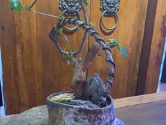 -道南書院·私房菜·早午茶·茶馆