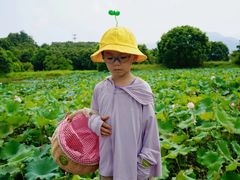 -福建鲤鱼洲酒店