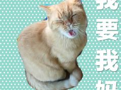 -狐狸家·酸奶酪专门店(平江路店)