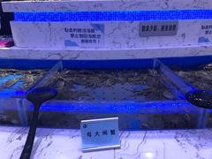 -澜悦港海鲜体验主题餐厅