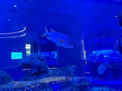 -上和臻品中国菜(花园街店)