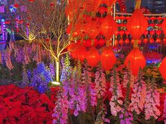 -天河体育中心