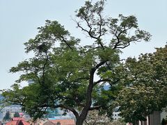-烟台山景区